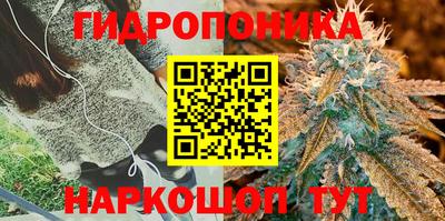 наркотики Гусиноозёрск