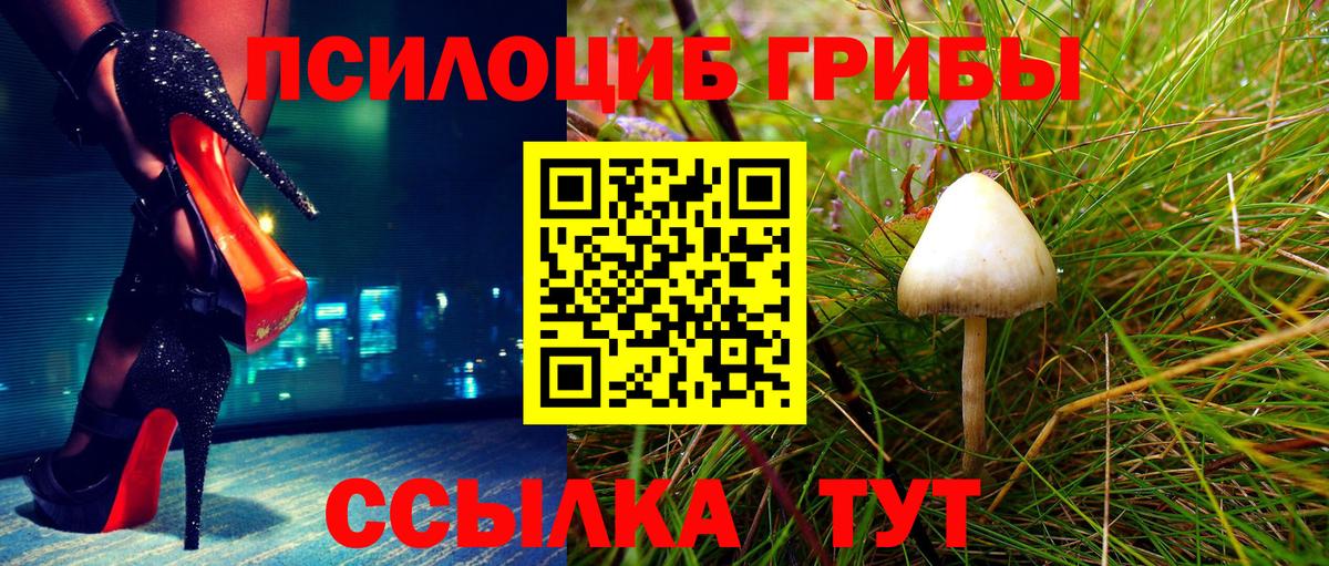 Псилоцибиновые грибы Psilocybe  Галлюциногенные грибы Cubensis  Вход с VPN  Киселёвск 